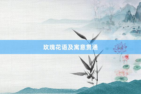 玫瑰花语及寓意贯通