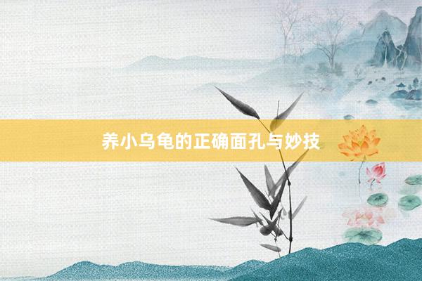 养小乌龟的正确面孔与妙技
